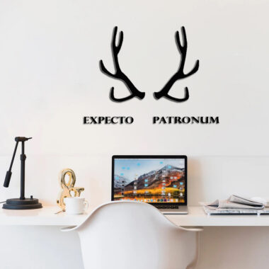 הארי פוטר | Expecto Patronum