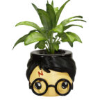 עציץ הארי פוטר