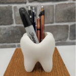 מעמד לעטים ועפרונות בצורת שן