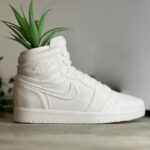 עציץ נעל אייר ג'ורדן