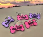 תג שם לכלב דן תלת מימד